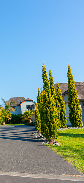 Houses with a shared driveway